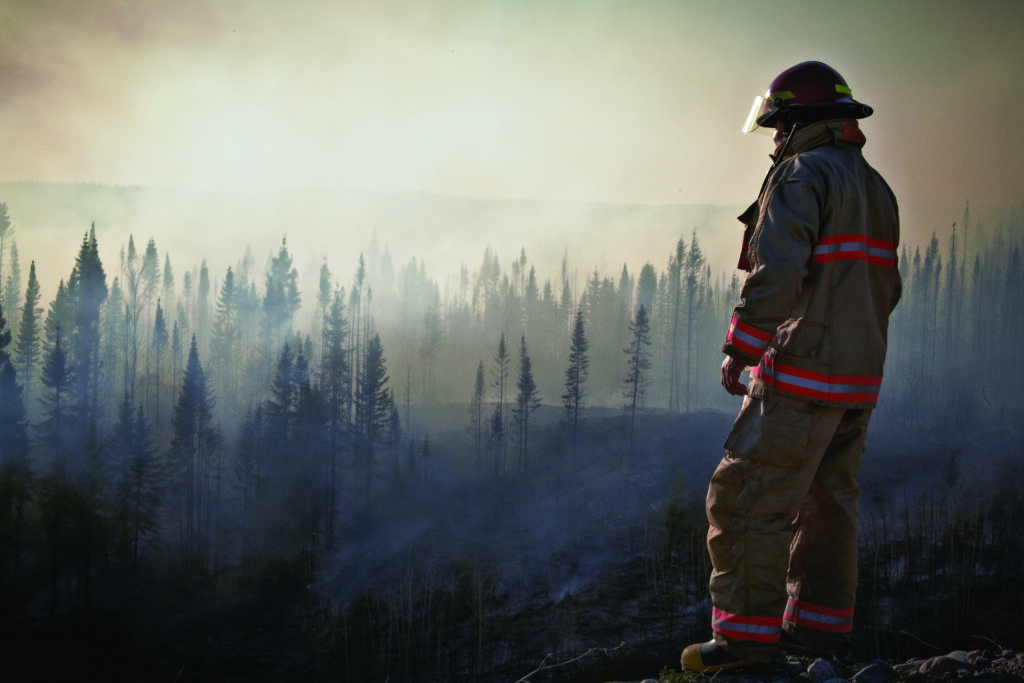 firefighter-in-forest-psl-july-edition
